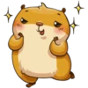 hamster_senia 5