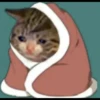 fav kucing 6