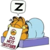 Garfield - Paulinha 9