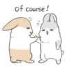 Machiko rabbit Winter 9