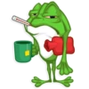Mr. Green Frogo 10