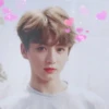 JJK soft bot 8