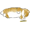 Kittens mofu_sand 2 10