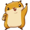hamster_senia 8