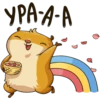hamster_senia 10