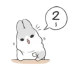 Machiko rabbit Winter 11