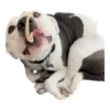 Tucky Moods 15
