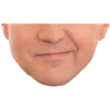 Bitcoin Halving Constructor 12