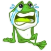 Mr. Green Frogo 17