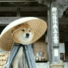 Dog , By 15