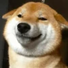 Dog , By 16