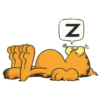 Garfield - Paulinha 15