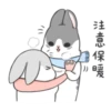 Machiko rabbit Winter 15