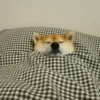 Dog , By 17