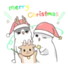 Machiko rabbit Winter 18