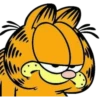 Garfield - Paulinha 18