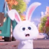 Gogool_Gif_Snowball 16