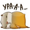 hamster_senia 20