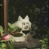 Dog , By 22
