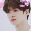 JJK soft bot 19