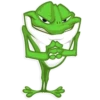 Mr. Green Frogo 24