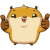 hamster_senia 23