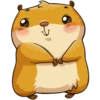 hamster_senia 24
