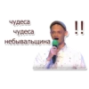 КВН 24