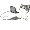 Kittens mofu_sand 2 23