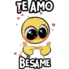 TE AMO
Persy
FS
BÉSAME