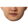 Bitcoin Halving Constructor 26