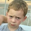 Gavin 26