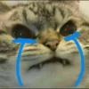 fav kucing 26