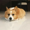 Dog , By 27
