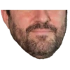 Bitcoin Halving Constructor 28