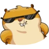 hamster_senia 27