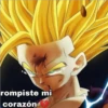 rompiste mi corazón