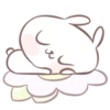 Marshmallow puppies 29