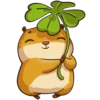 hamster_senia 28