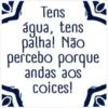 Tuguices V 29