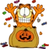 Garfield - Paulinha 29