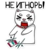 meow_vk 6