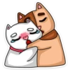 meow_vk 7