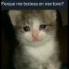 Killer Kitty 6