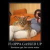 Big Floppa 8