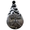 Goddamn cats 5