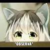 Killer Kitty 9