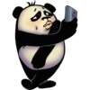 Funny Panda 8