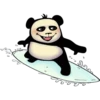 Funny Panda 9