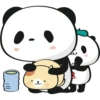 Little panda 10